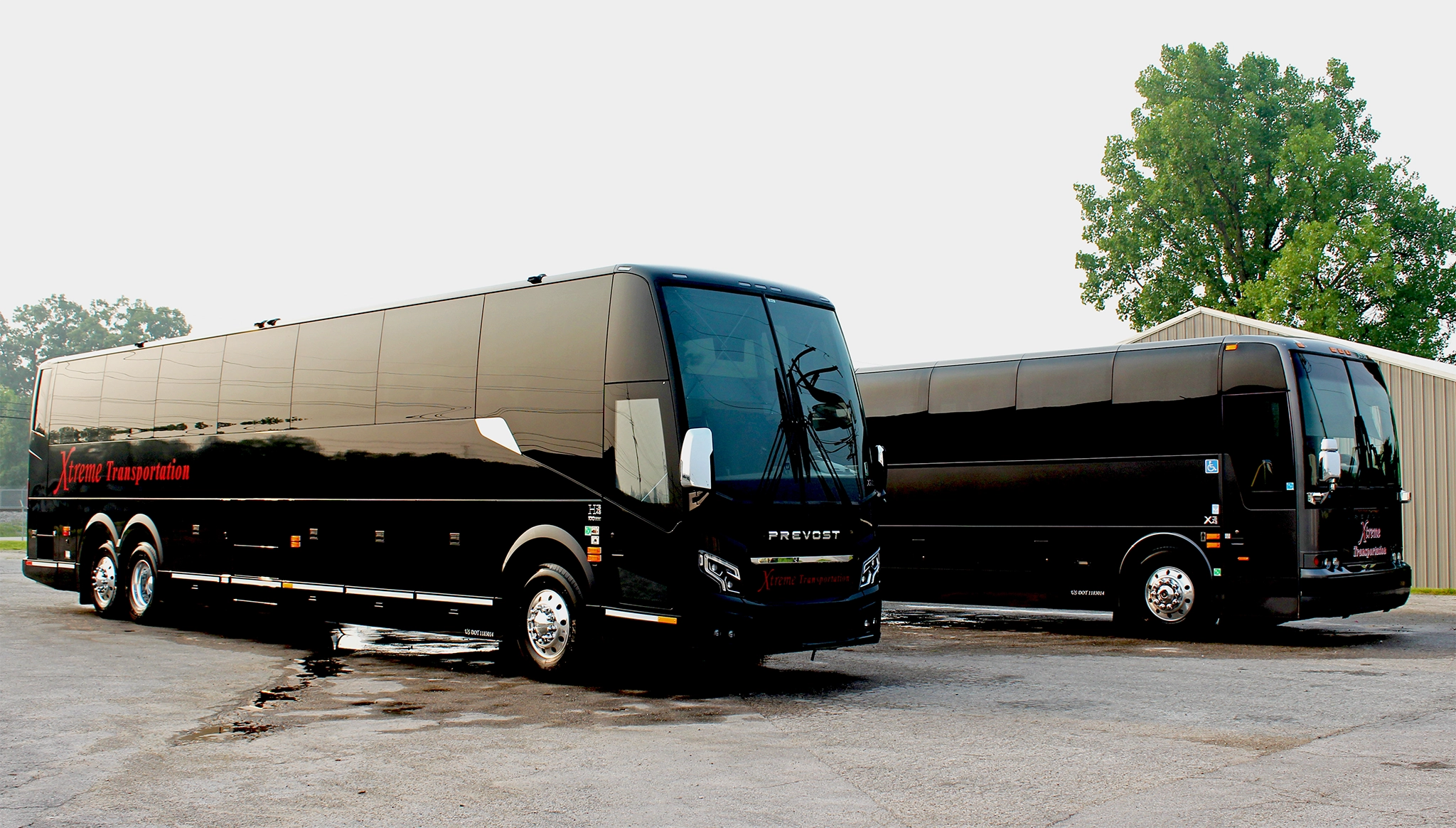 coach bus 06